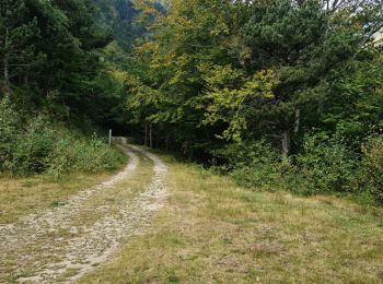 Trail Walking Prats-de-Mollo-la-Preste - La Preste - Col de Siern  - Photo