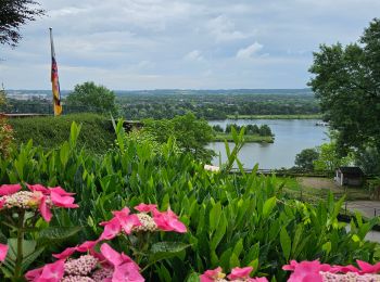 Tour Wandern Maastricht - Maastricht  [Nature & ville] - Photo