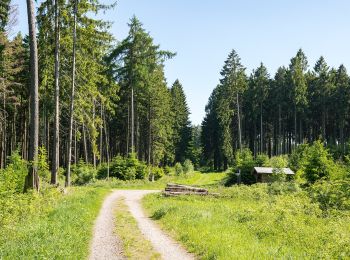 Tocht Te voet Willebadessen - Willebadessen Rundweg A7 - Photo