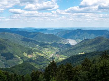 Randonnée A pied Gemeinde Mühldorf - Welterbesteig Wachau Etappe 5 - Photo