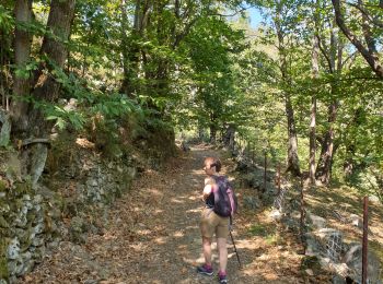 Tour Wandern Vallées-d'Antraigues-Asperjoc - antraigues la violle - Photo