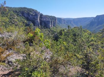 Tocht Stappen Le Rozier - le Rozier rocher capluc - Photo