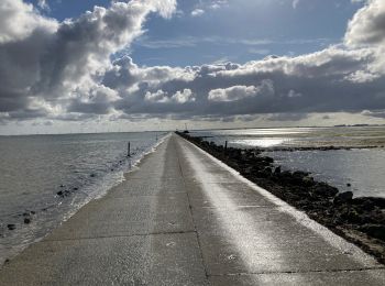 Trail Bicycle tourism La Guérinière - Tour de l’île de Noirmoutier sud - Photo