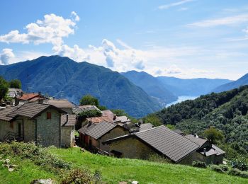 Tocht Te voet Pigra - Corniga - Alpe di Colonno - Photo