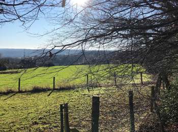 Tour Wandern Seraing - De Boncelles à Roche aux faucons  - Photo
