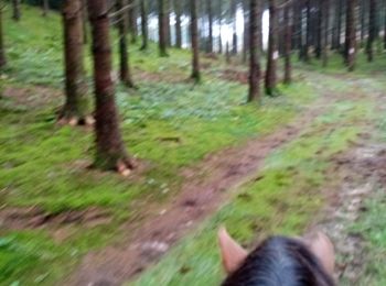 Trail Horseback riding Meix-devant-Virton - meix devant virton - Photo
