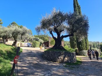 Randonnée Marche Fayence - fayence vallon de la camandre - Photo