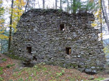 Randonnée A pied Krottendorf-Gaisfeld - Wanderweg 20 - Photo