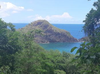 Tour Wandern Sainte-Marie - Boucle La Philippe - Morne Tringle - Photo