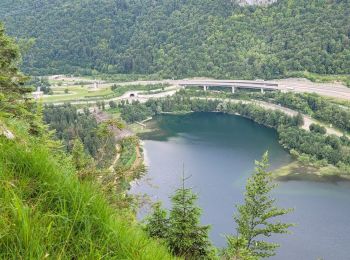 Tour Wandern Le Poizat-Lalleyriat - Le poizat - Photo