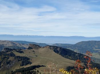 Trail Walking Bellevaux - 2021-10-15 La Pointe de La Gay - Photo