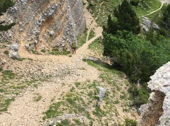 Randonnée Marche Die - Le Pestel  - Photo