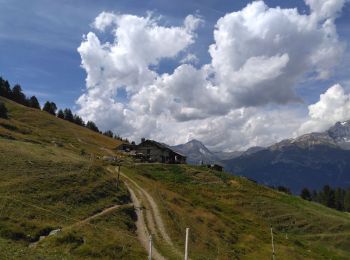 Tocht Stappen Val-Cenis - Montbas - Photo