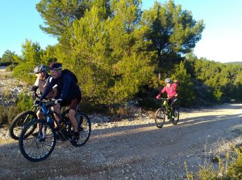 Tocht Mountainbike Roquefort-la-Bédoule - Jeudaï-LaBedoule-20déc18 - Photo