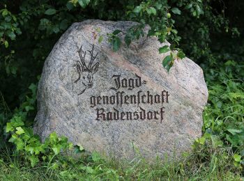 Tocht Te voet Lübben (Spreewald) - Wanderweg Radensforf-Briesener See - Photo