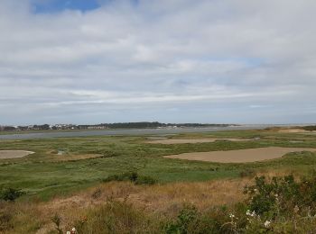 Tocht Stappen Étaples - Baie de la Canche - Photo