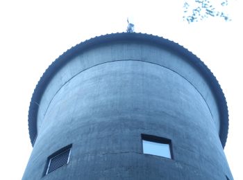 Tour Zu Fuß Vaihingen an der Enz - Rundweg - Photo