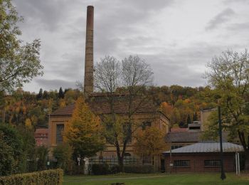 Percorso A piedi Bietigheim-Bissingen - Familienmartinusweg im Bietigheimer Forst - Photo