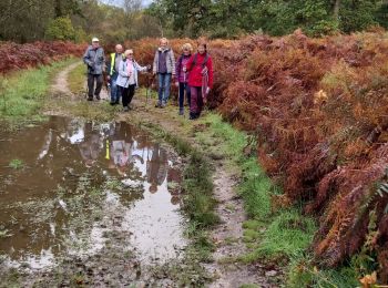 Tocht Stappen Cuverville - Cuverville - Photo