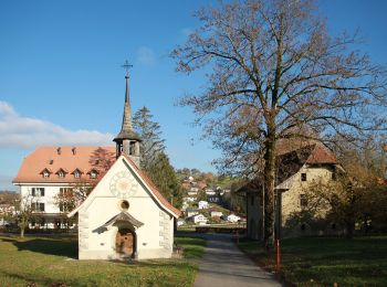 Percorso A piedi St. Ursen - Schürmatt - Etiwil - Photo