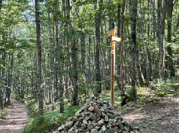 Percorso Marcia Saint-Alban-les-Eaux -  St-Alban-les-Eaux - La Goutte Sarra - Photo