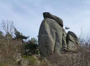 Randonnée A pied Cournols - Cournols - Photo