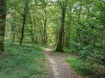 Trail Walking Dole - Dole-foret de Chaux  - Photo