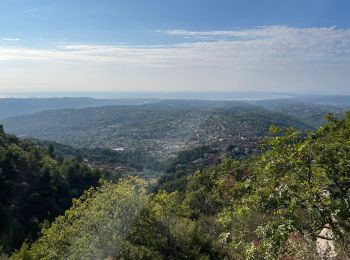 Tocht Stappen Antibes - Littoral du cap d’Antibes  - Photo