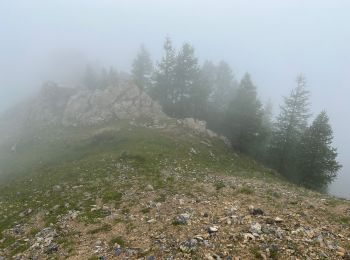 Trail Walking Roure - Mont Gravières - Photo