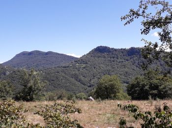 Percorso Mountainbike Saint-Girons - st girons - Photo