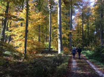 Trail Walking La Hulpe - Château de la Hulpe - Photo