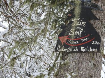 Randonnée Raquettes à neige Villard-de-Lans - RECO RESTO MALATERRE - Photo