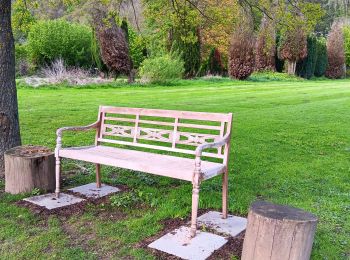 Tocht Stappen Esneux - entre Mery et bois Manant - Photo