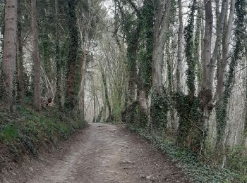 Trail Walking Sprimont - dolrmbreux . hayen . hautgne . dolembreux  - Photo