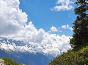 Randonnée Marche Chamonix-Mont-Blanc -  Depuis le télécabine de La Flégère jusqu'au refuge et Lac Blanc et descente bouclée par les Lacs des Chéserys - Photo