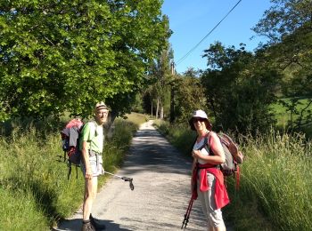 Trail Walking Montbrun-les-Bains - Montbrun 2 - Photo