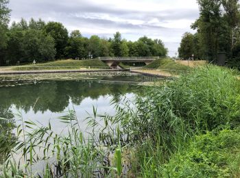 Trail Walking Méry-sur-Seine - Boucle Mery sur Seine - Droupt-Saint-Basle  - Photo