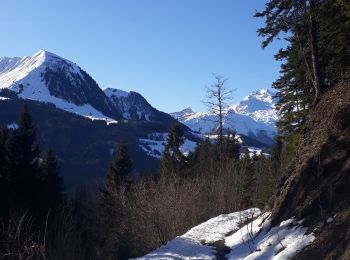 Trail Snowshoes Manigod - Comburxe - Photo