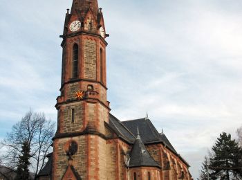 Tocht Te voet Rudolstadt - Ringweg - Photo