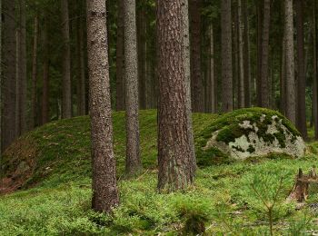 Tour Zu Fuß Bad Alexandersbad - Bad Alexandersbad - Rundwanderweg Nr. 3 - Photo