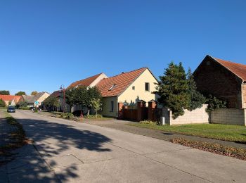 Tocht Te voet Buckautal - Naturparkrundwanderweg 52 - Photo