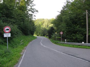 Tour Zu Fuß Fuldatal - Eco Pfad Knickhagen-Wilhelmshausen - Photo