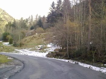 Trail On foot Laruns - Voie d'OssauB - Photo