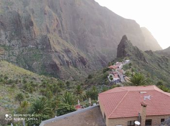 Randonnée Marche Buenavista del Norte - masca gorges - Photo