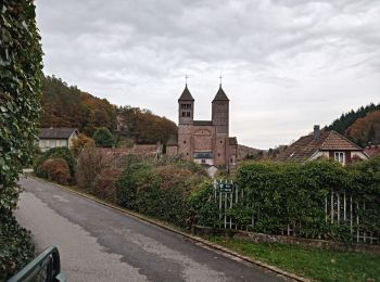 Tour Wandern Gebweiler - Sandgrube - Murbach 14/11/2019 - Photo