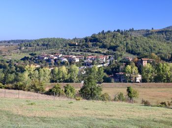 Tour Zu Fuß Greve in Chianti - IT-G11 - Photo