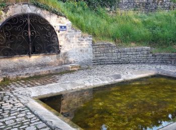 Tour Wandern Niort - Niort Surimeau - Photo