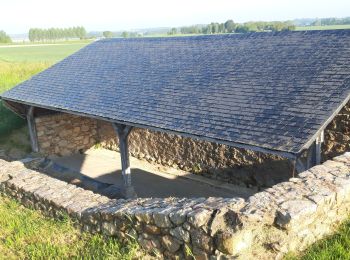 Randonnée Marche Brissac-Loire-Aubance - St Rémy la Varenne grand tour - Photo