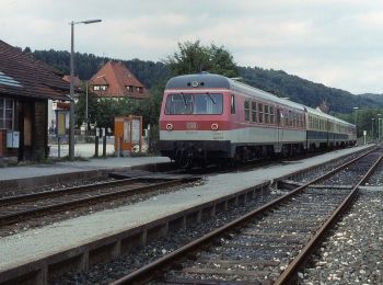 Randonnée A pied Schnaittach - Rundweg Osternohe – Simmelsdorf - Photo