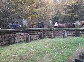 Tocht Paardrijden Soucht - Speckbronn-Wingen-Speckbronn - Photo